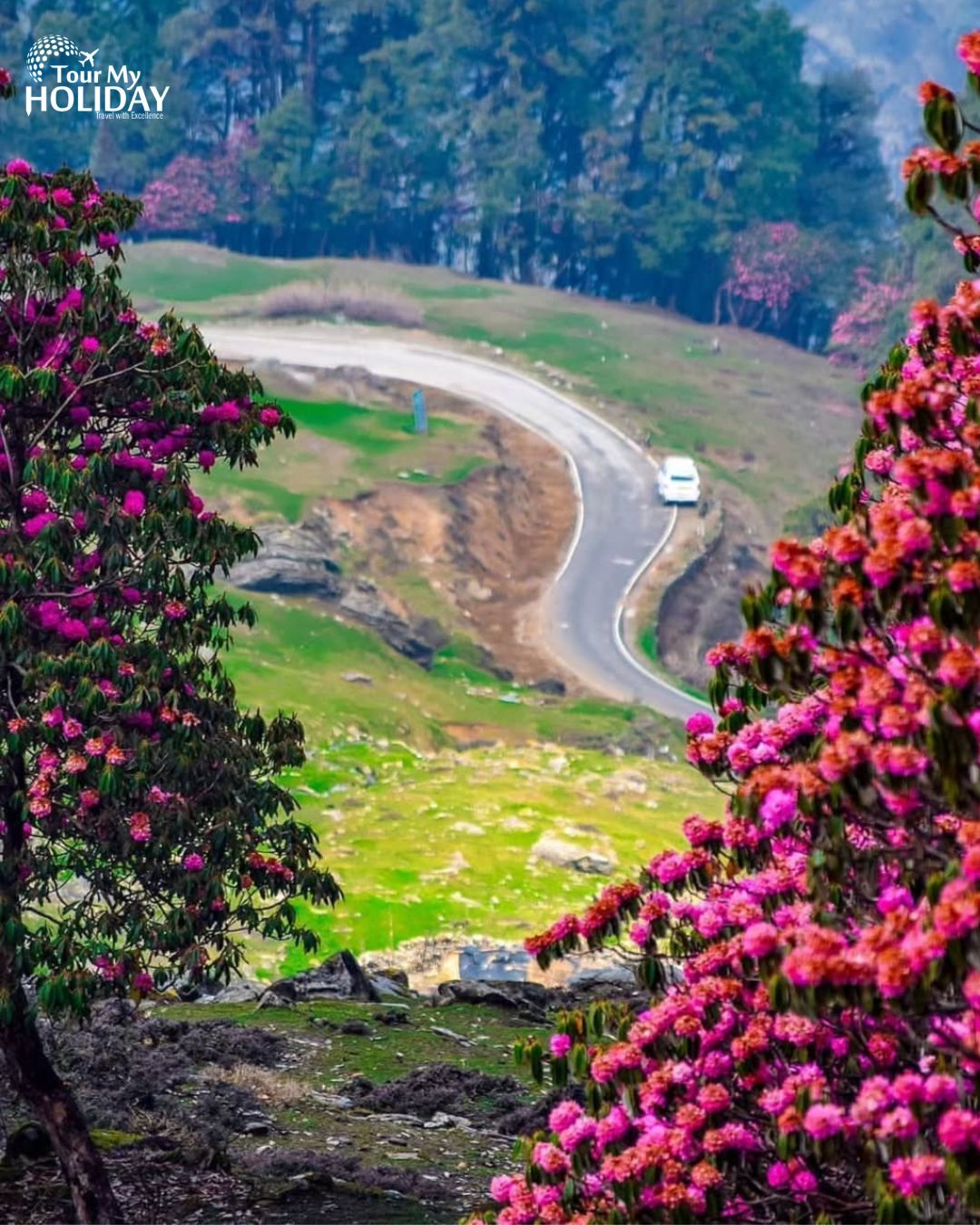 Weekend Bliss in the Hills: Best Chopta Tour Packages 